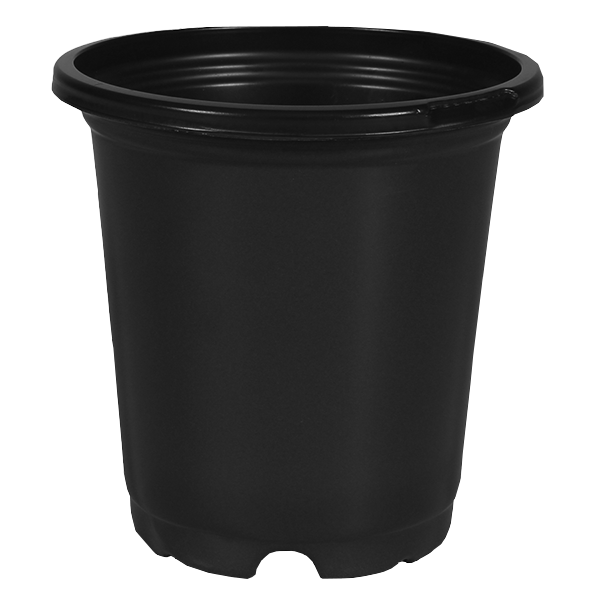 HC 4 Inch Standard Coex Pot Blk/Blk - 1260 per case - Standard